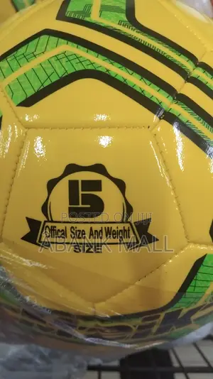 Professional Football Balls