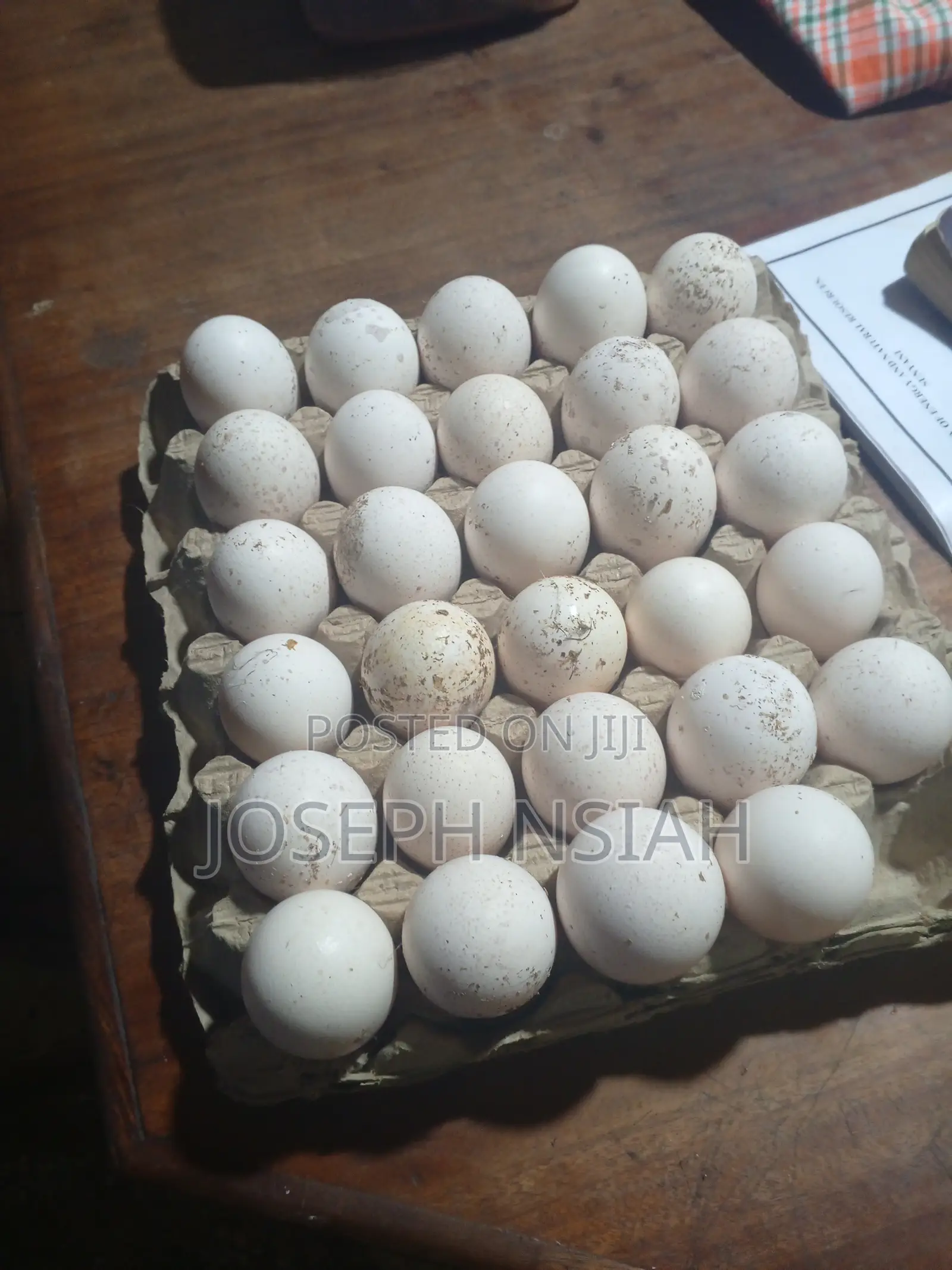 Turkey Eggs for Sale