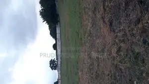 4 Plots of Land for Sale at Labone