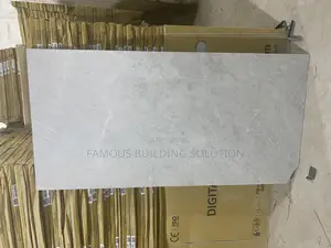 Made in India 60/120 Polished Floor Tiles