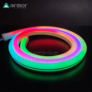 Muiti Color Neon Rope Light With Remote Controller 50meter