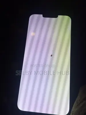 iPhone 13 Pro Max White or Green Screen Repair