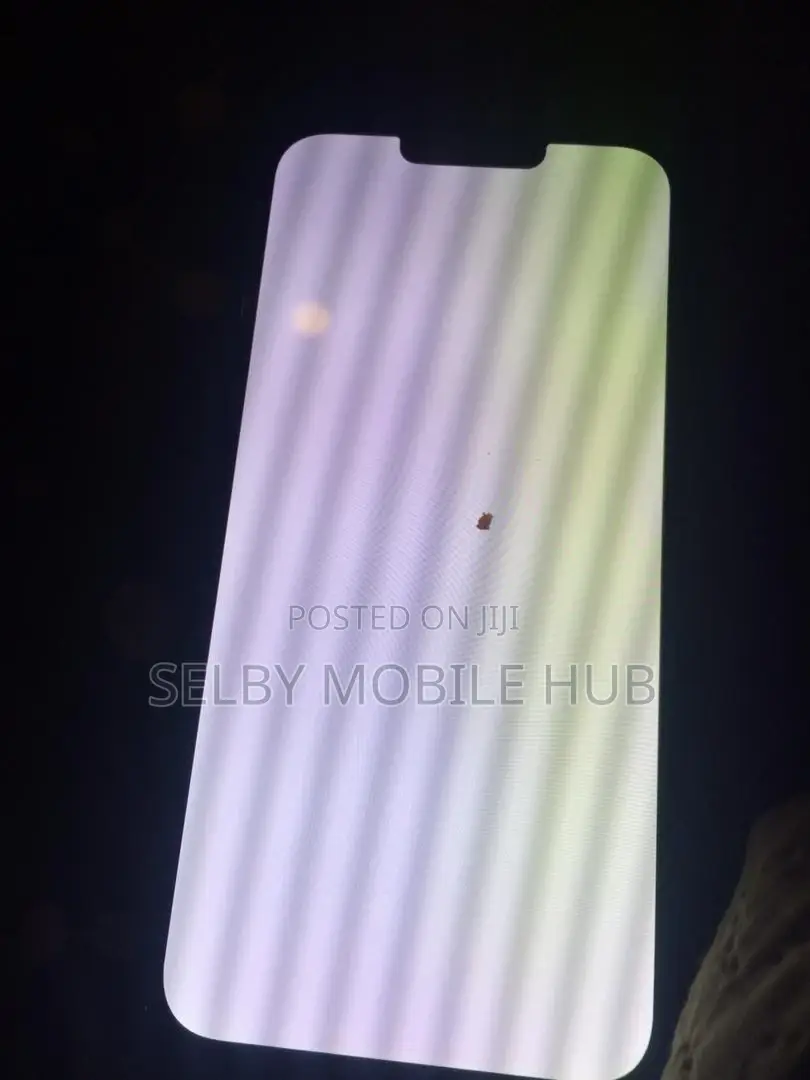 iPhone 13 Pro Max White or Green Screen Repair