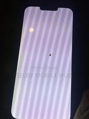 iPhone 13 Pro Max White or Green Screen Repair