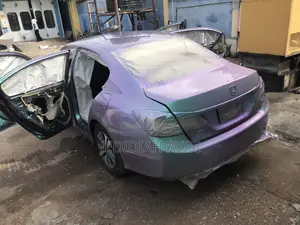 Pigment/Special Effect Spray