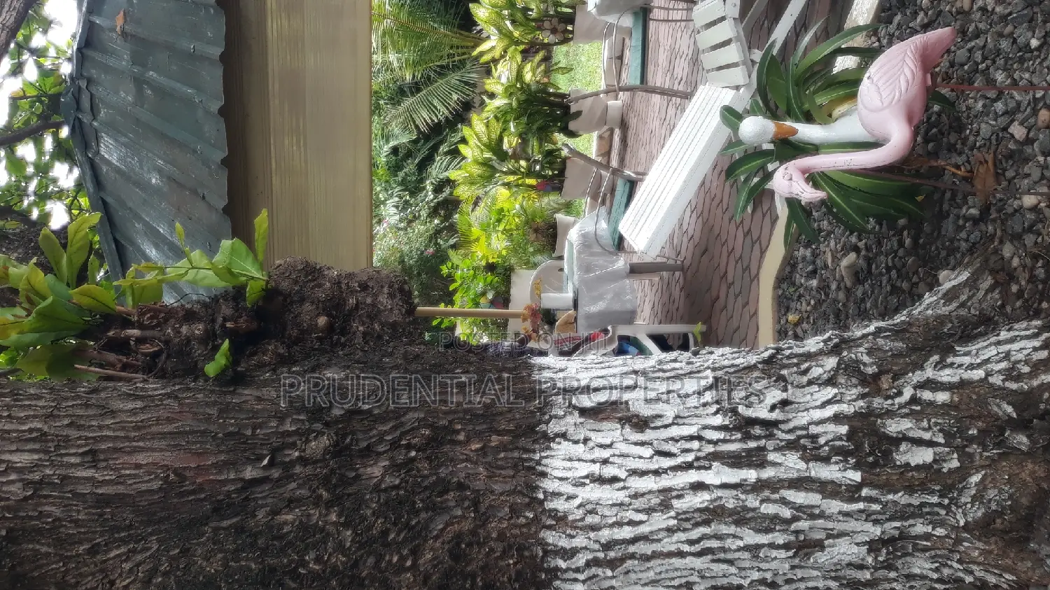 Furnished 2bdrm Apartment in Dome for rent