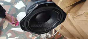 EV 10inches Line Array Speakers