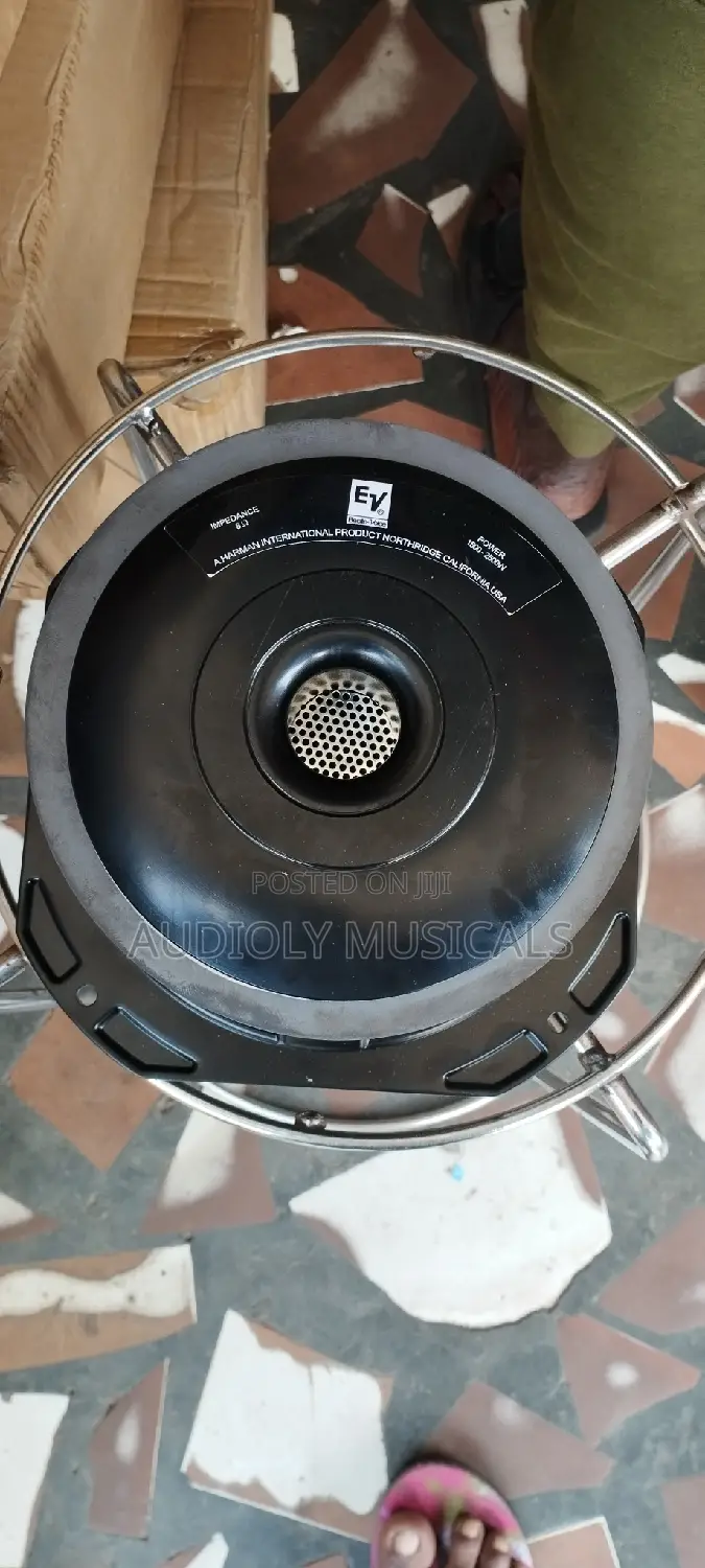EV 10inches Line Array Speakers