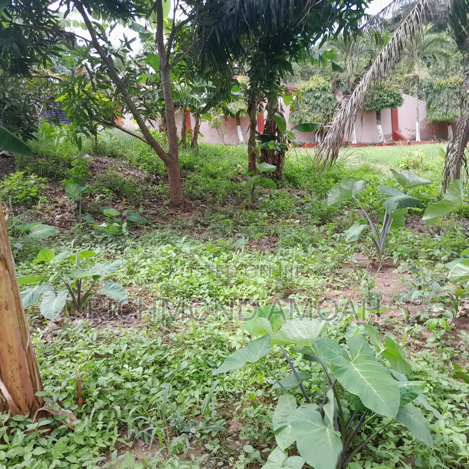 Half Plot for Sale at Apremdo Kingsbury