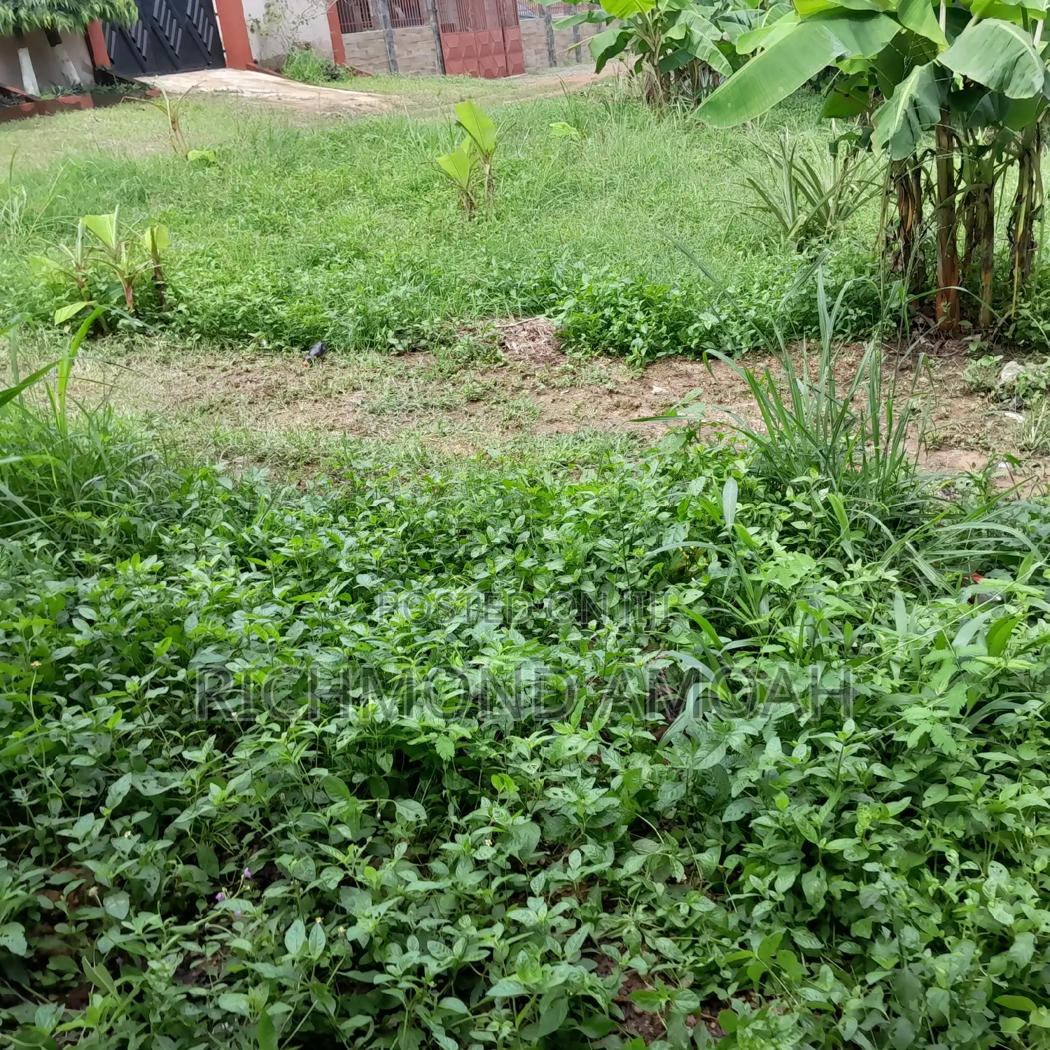 Half Plot for Sale at Apremdo Kingsbury