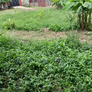 Half Plot for Sale at Apremdo Kingsbury