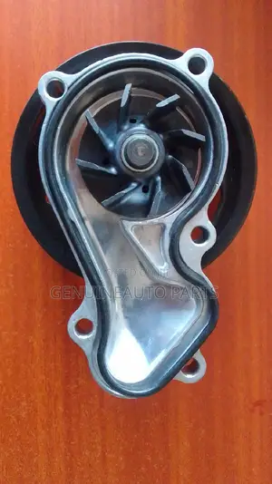 Honda Accord Water Pump 2019-2021