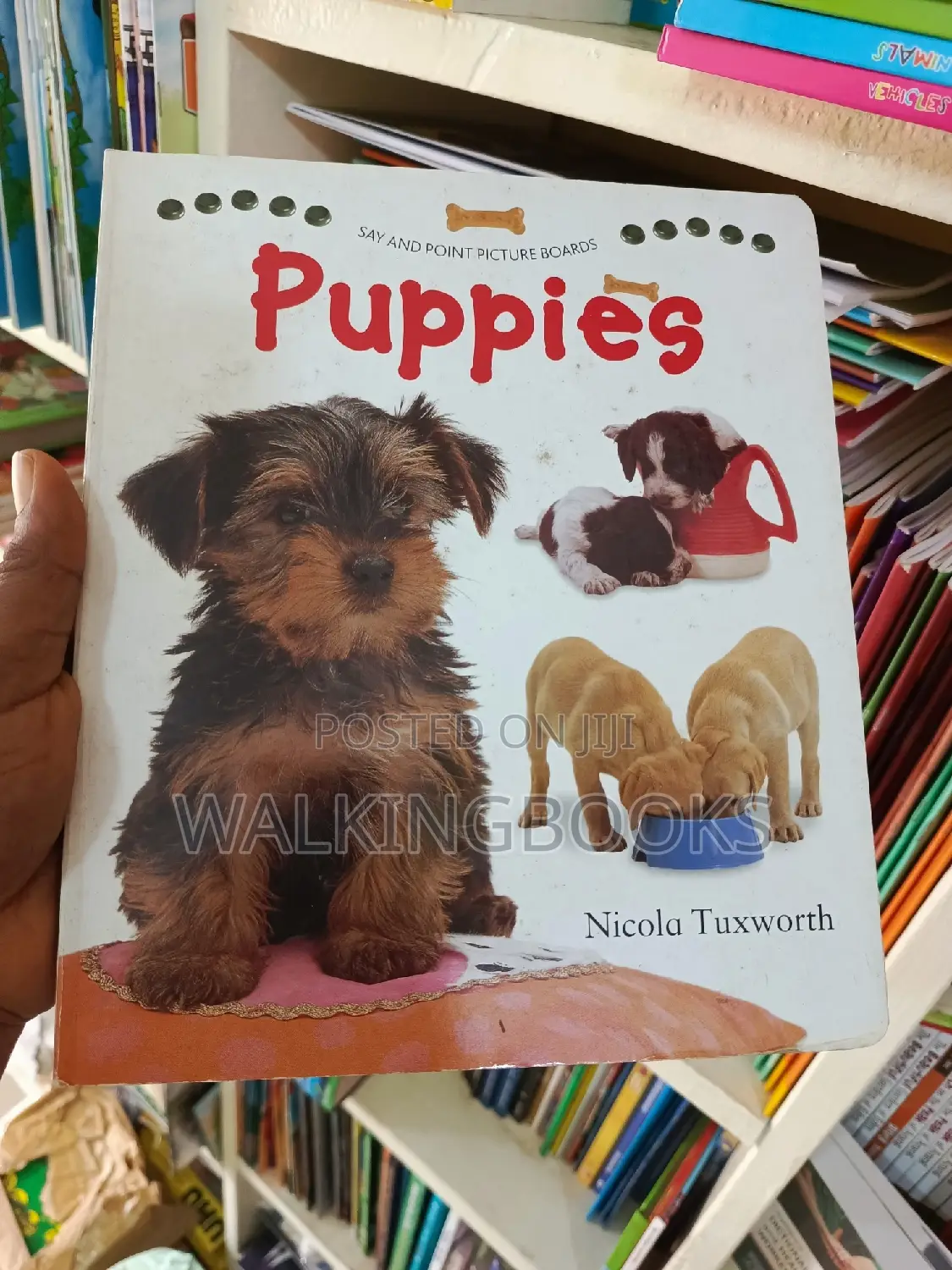 Exciting Boardbooks for Toddlers
