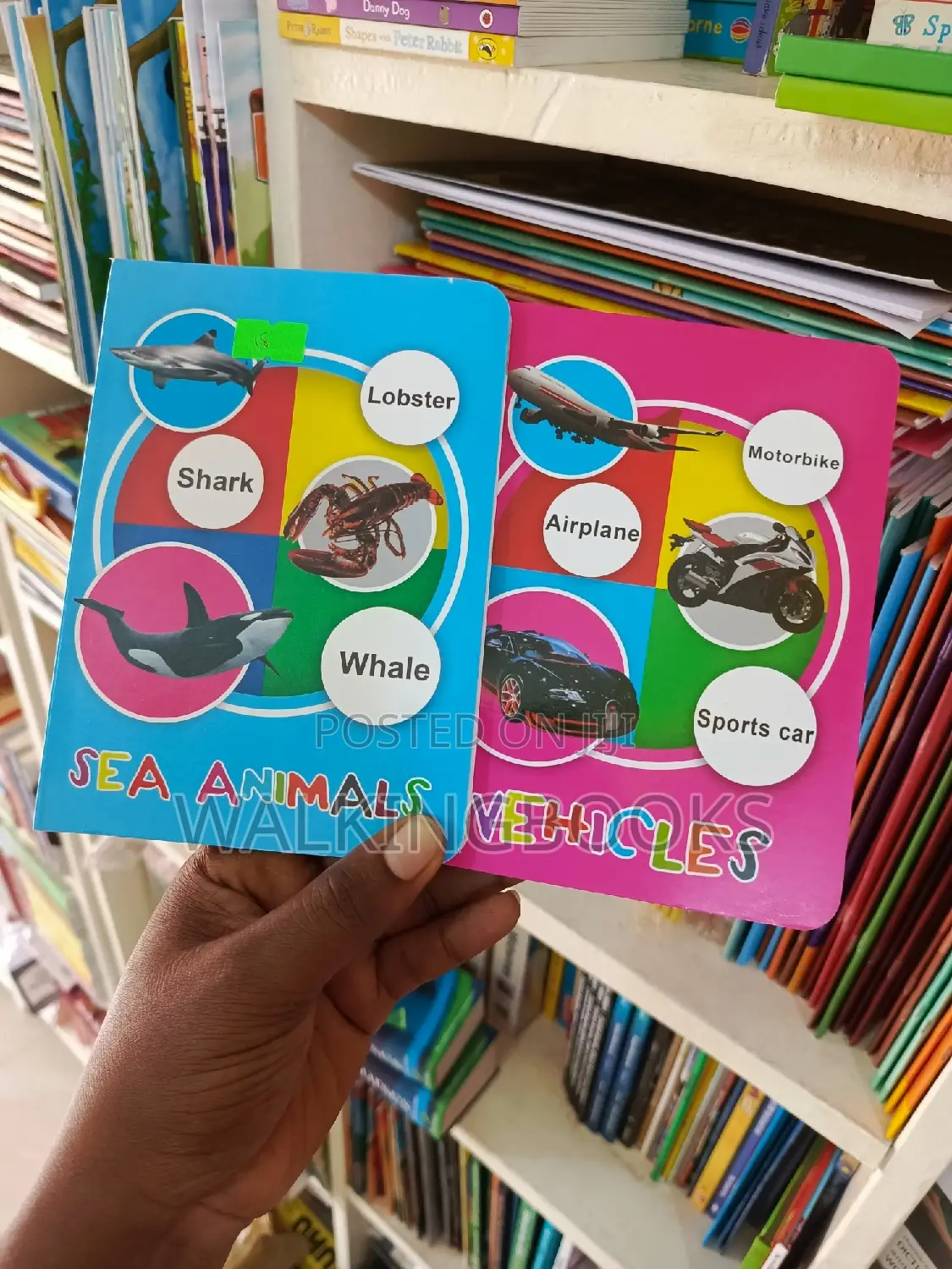 Exciting Boardbooks for Toddlers
