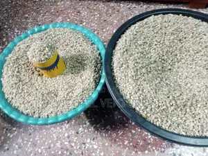 Photo - Ukwa (Bread Fruit )