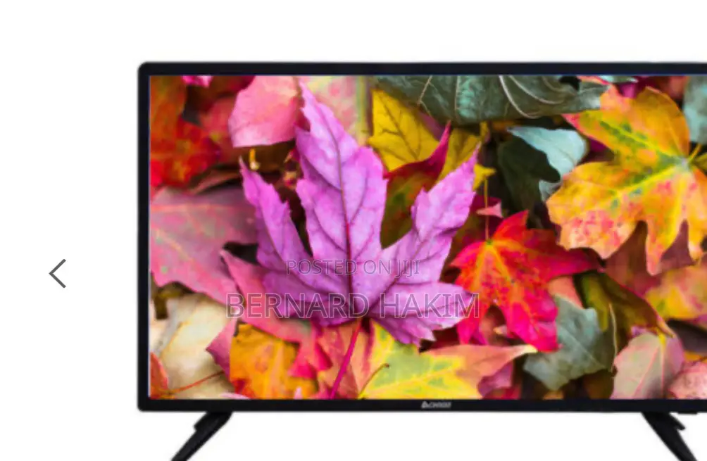 Chigo 43” Digital Satellite Tv
