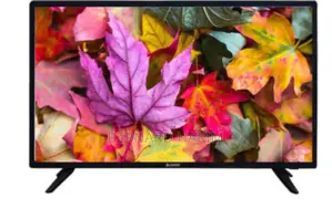 Chigo 43” Digital Satellite Tv