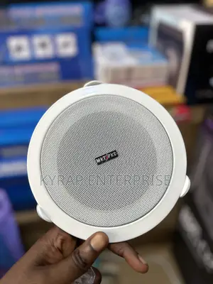 CEILING SPEAKER 8” Pair