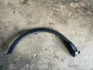 RAV 4 2017 Fender Moulding