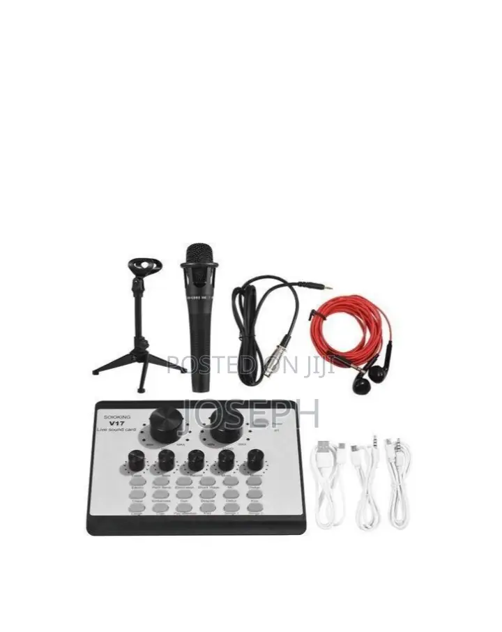 Microphone With Sound Card