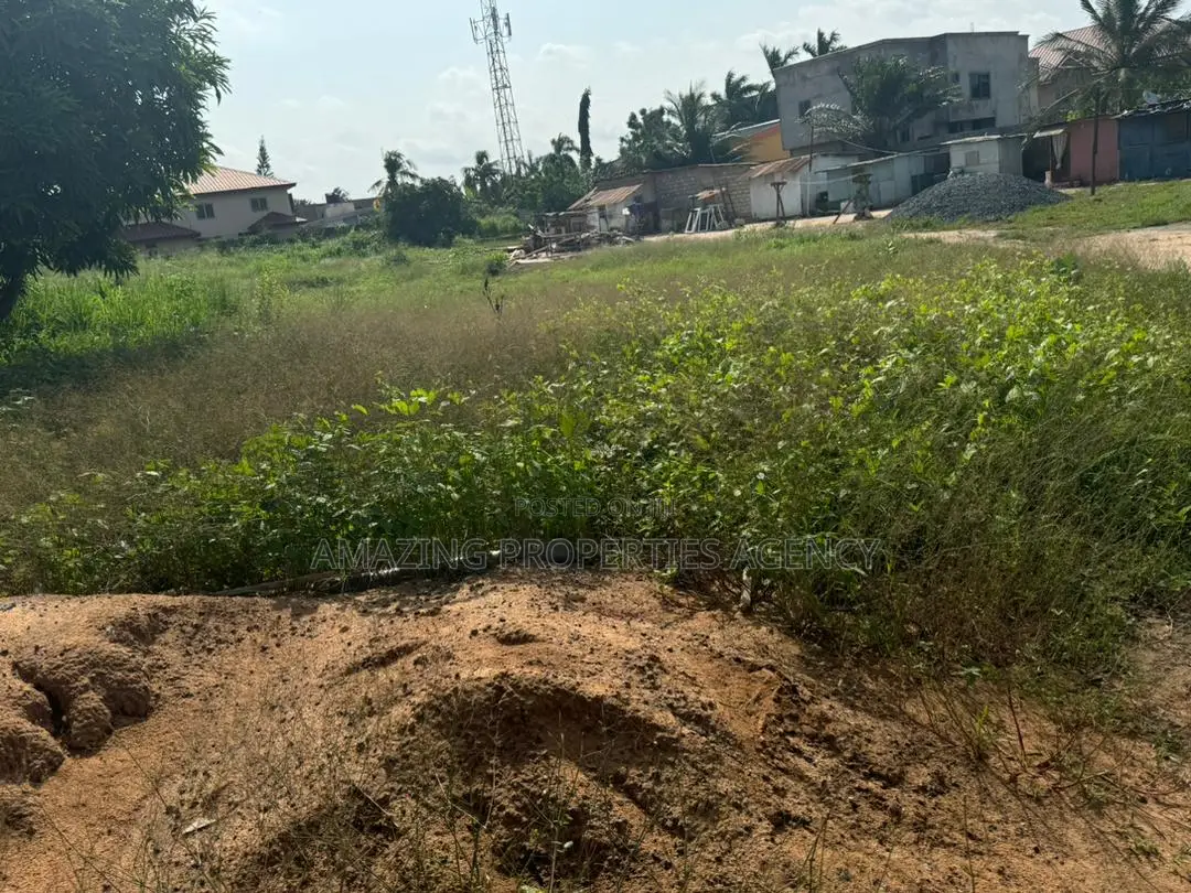 2 Plots of Land at Burma Hills