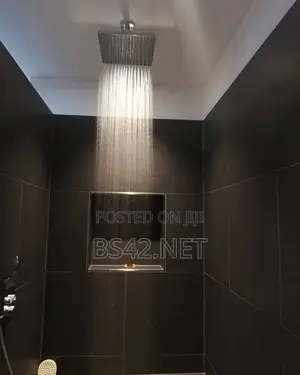 Shower Faucet Combo