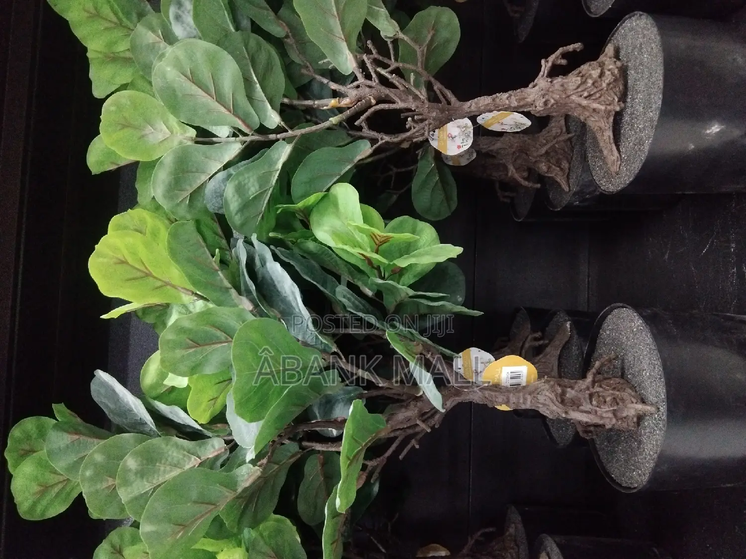 Artificial Tree
