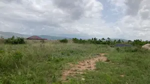 50 Plots of Land for Sale Located at Apollonia Hospital