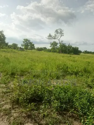 20,000 Acres of Farm Land for Sale