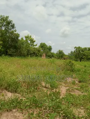 20,000 Acres of Farm Land for Sale