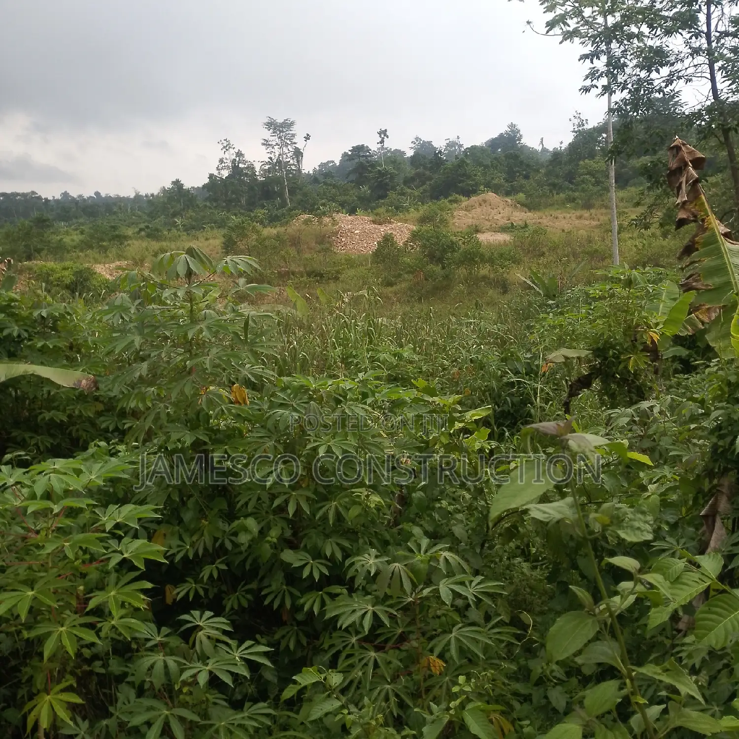 Gold Land for Sale