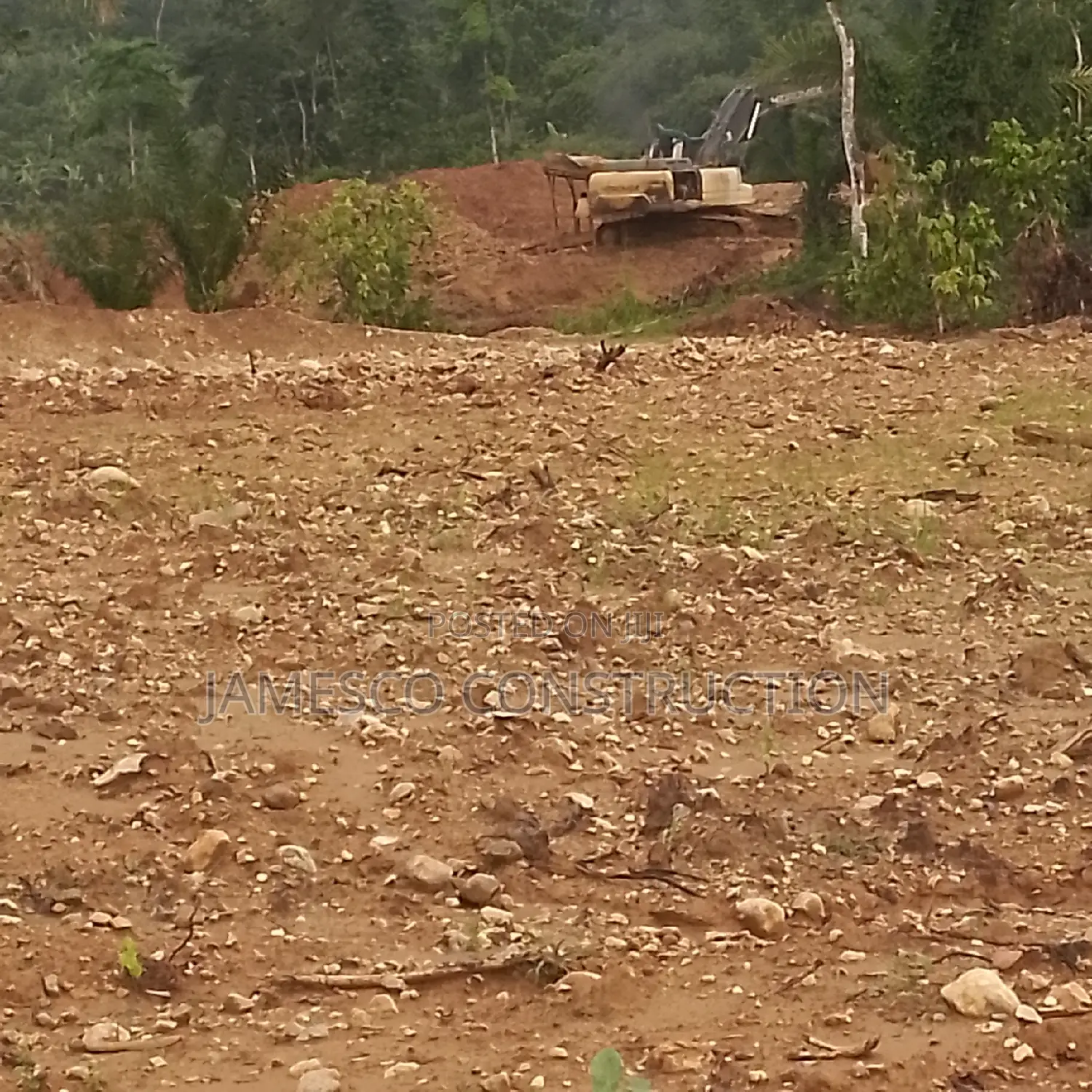 Gold Land for Sale