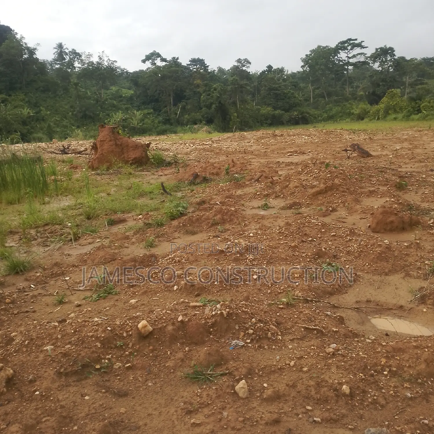 Gold Land for Sale
