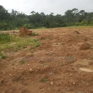 Gold Land for Sale