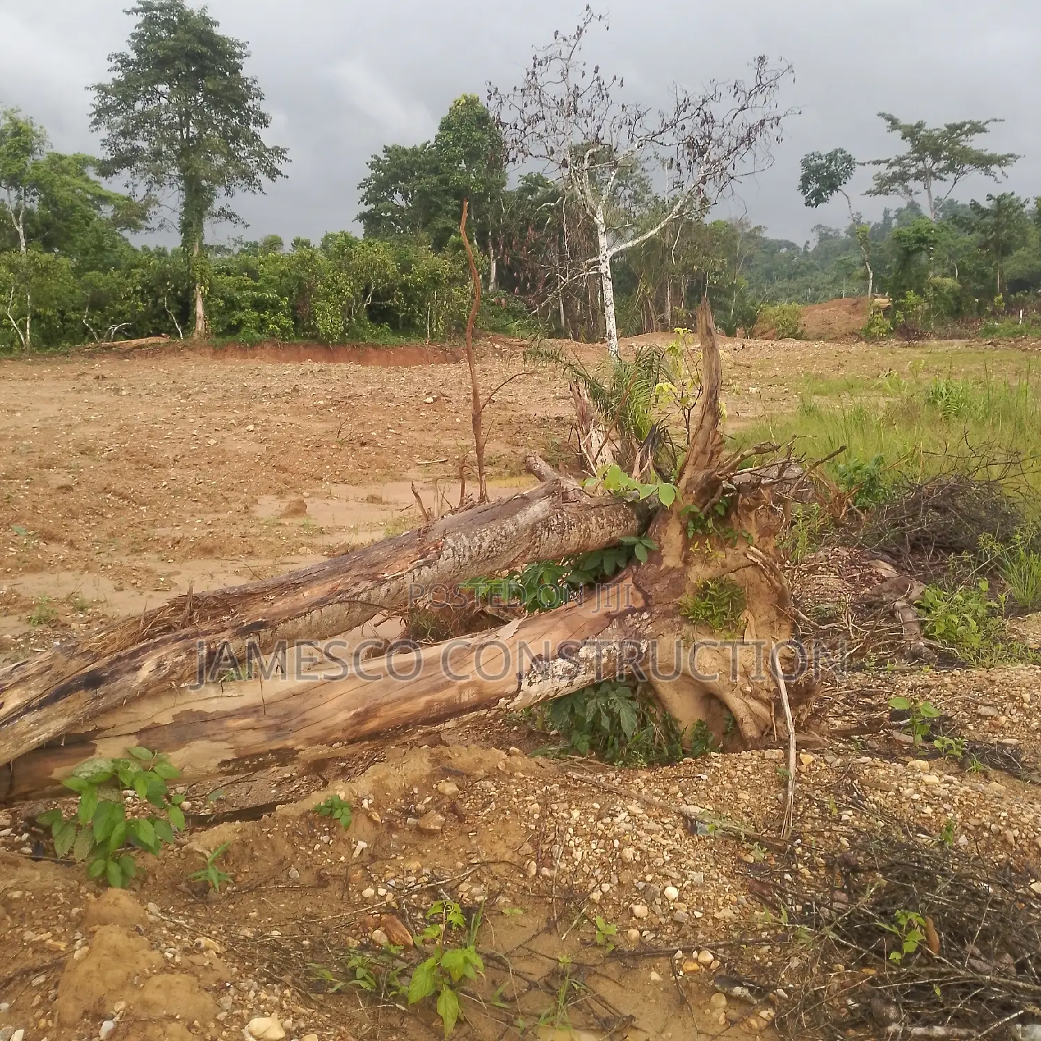 Gold Land for Sale