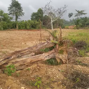 Gold Land for Sale