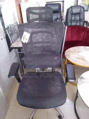 Ergonomic Chair