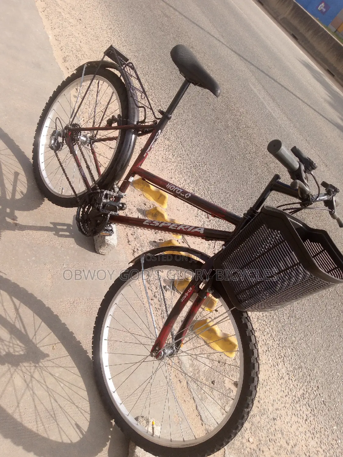 Normal Ladies Bike