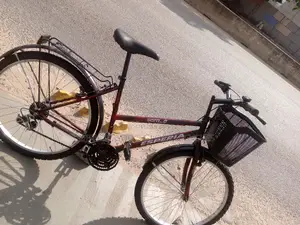 Normal Ladies Bike