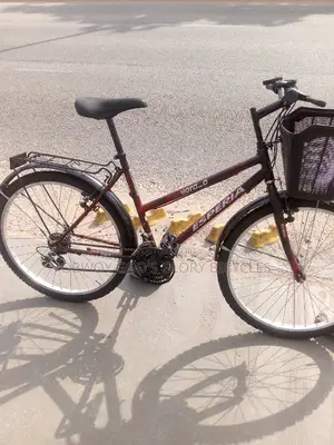 Normal Ladies Bike