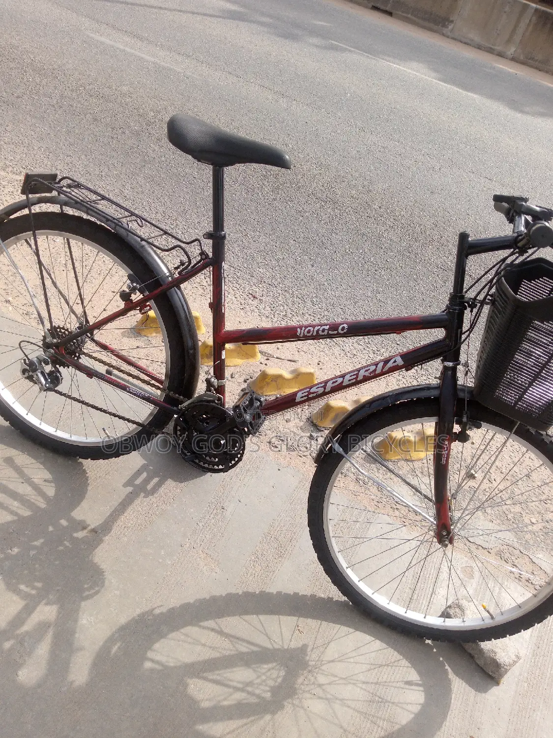 Normal Ladies Bike