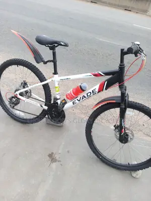 Disc Bicycle