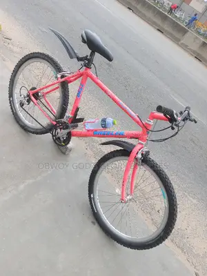 Pink Mountain Bike