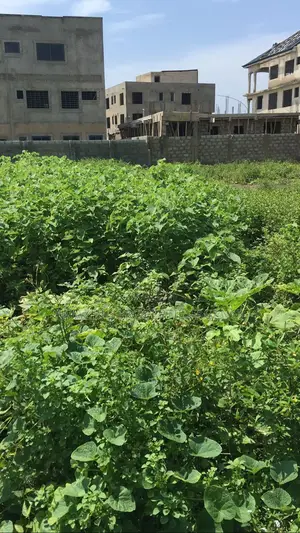 One Plot of Land at Sakumono