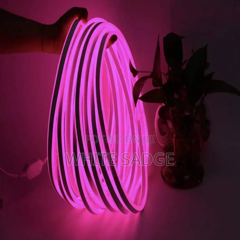 12V Pink Neon Decorative Rope Light