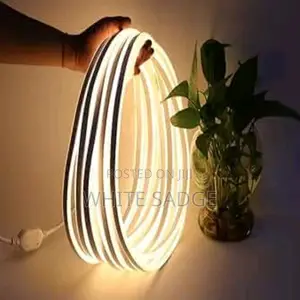 50meters 12V Neon Flexible Rope Light