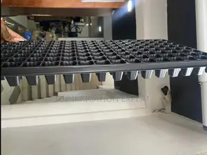 72 Holes Seed Tray/ Seedling Trays
