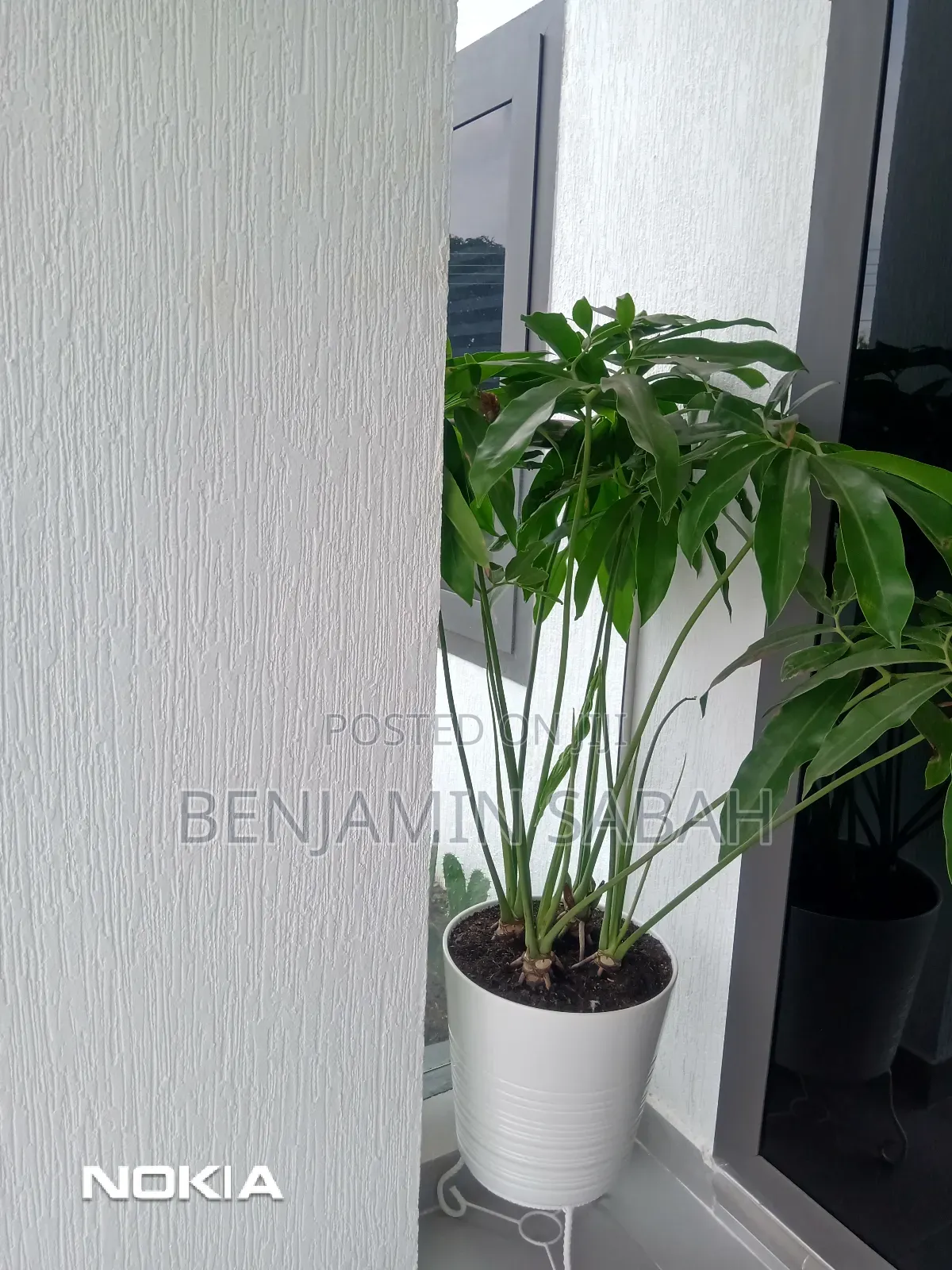Painting and Decorating