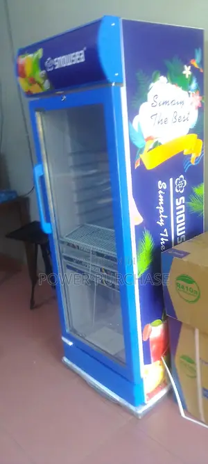 Classical Snowsea Refrigerator 208l
