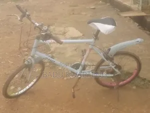Bicycle Rider